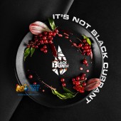Табак BlackBurn It's Not Black Currant (Красная Смородина) 25г